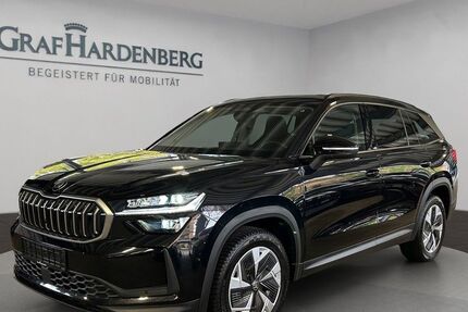 Skoda Kodiaq 24.800 km 46.790 € Karlsruhe 76131