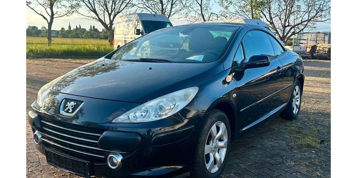 Peugeot 307 158.000 km 1.799 &euro; Au am Rhein 76474