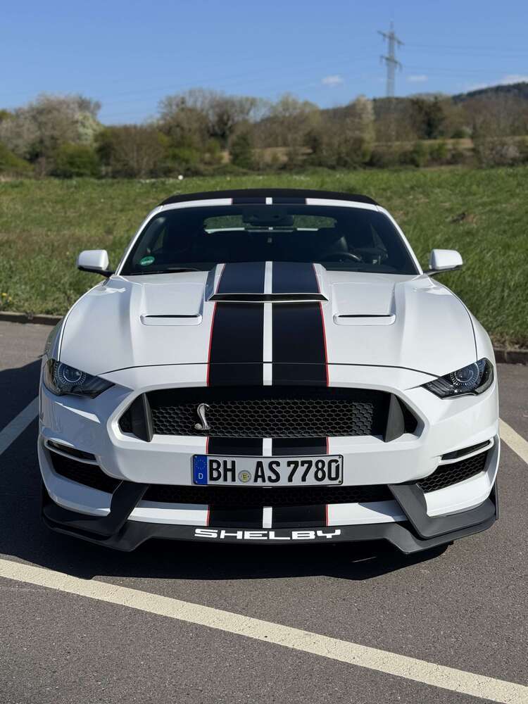 Mustang