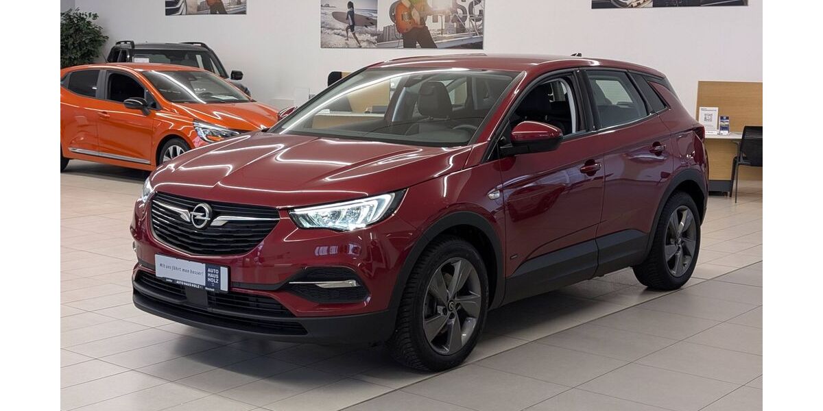 Opel Grandland (X) 49.688 km 19.450 &euro; Landau 76829