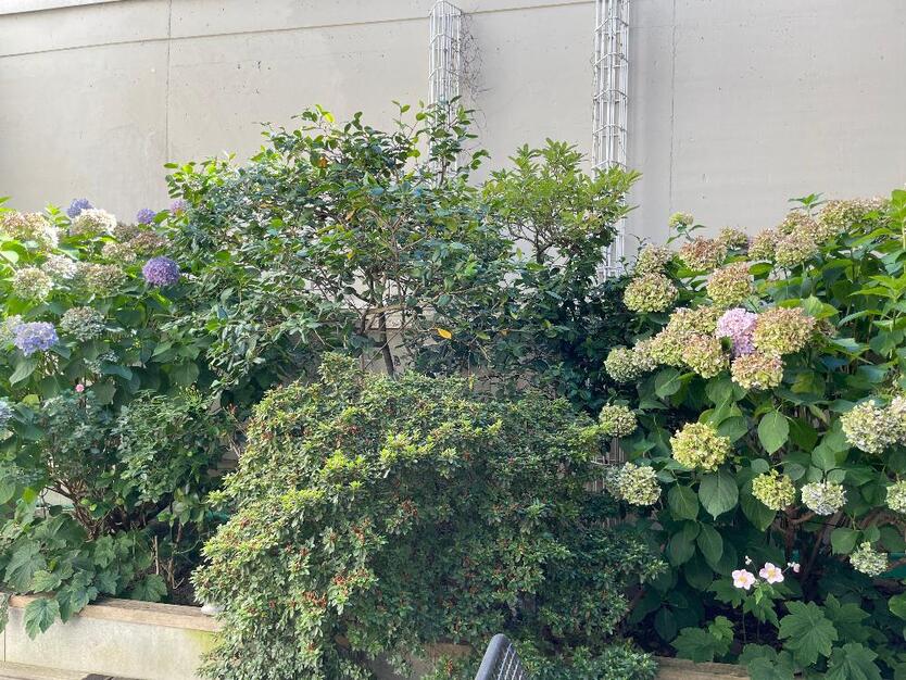 ### Geschmackvolles großzügiges Wohnen am Kronenplatz ### 4.5 zimmer