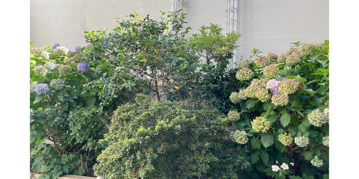 ### RESERVIERT !!!! Geschmackvolles großzügiges Wohnen am Kronenplatz ### 4.5 zimmer