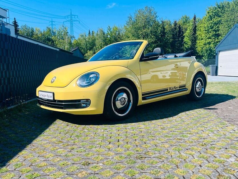 Beetle