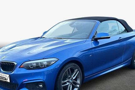 BMW 218 80.876 km 19.690 &euro; Landau 76829