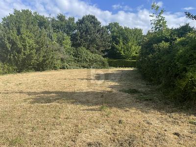 SONNIG MIT VIELFÄLTIGER NUTZUNG
