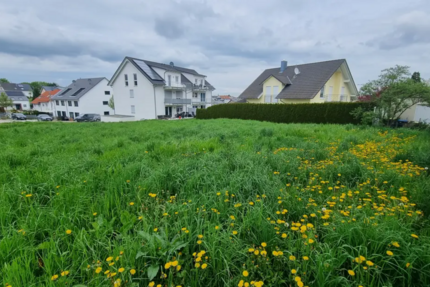 Grundstück zu verkaufen in Birkenfeld, Enzkreis 345.000 € 536 m² zimmer