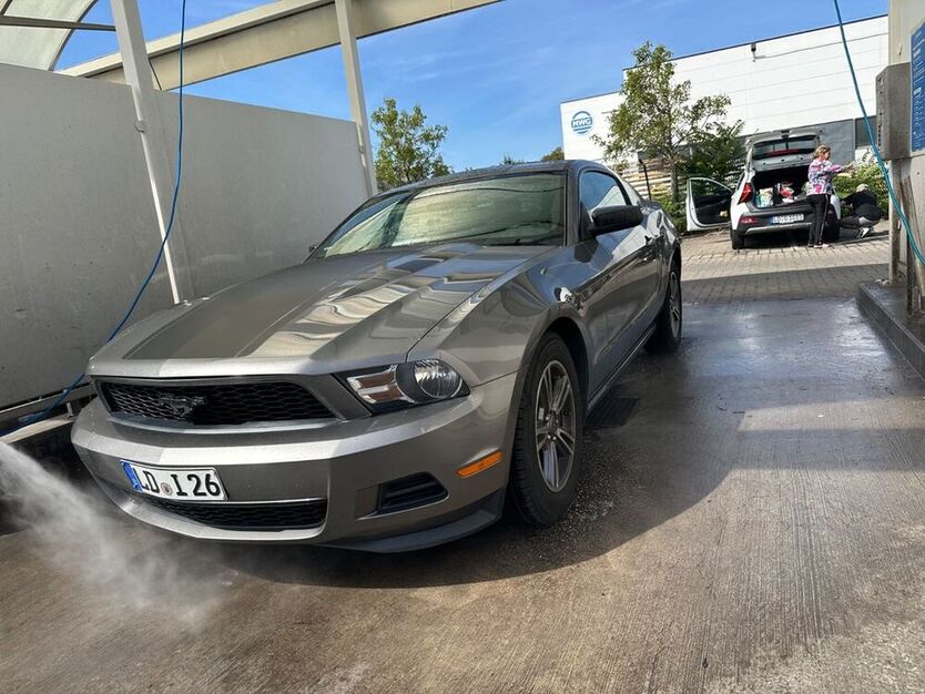 Mustang
