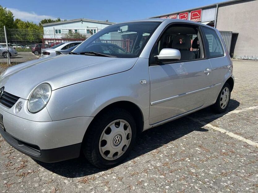 Lupo