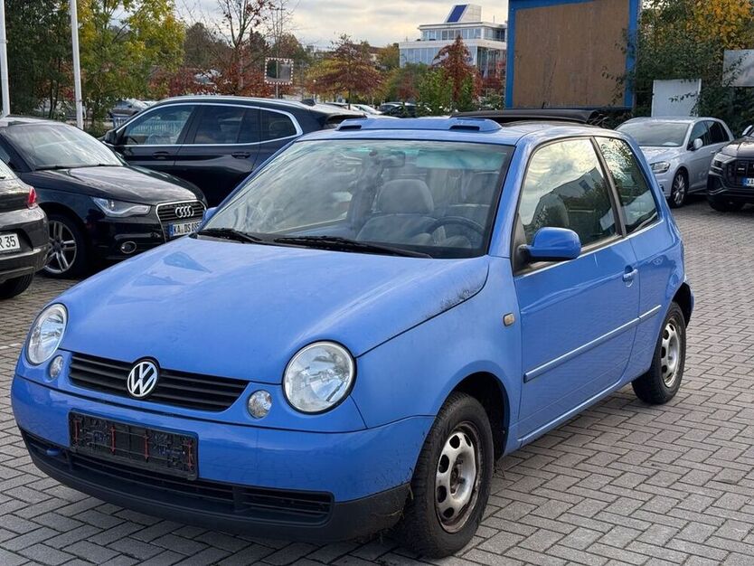 Lupo