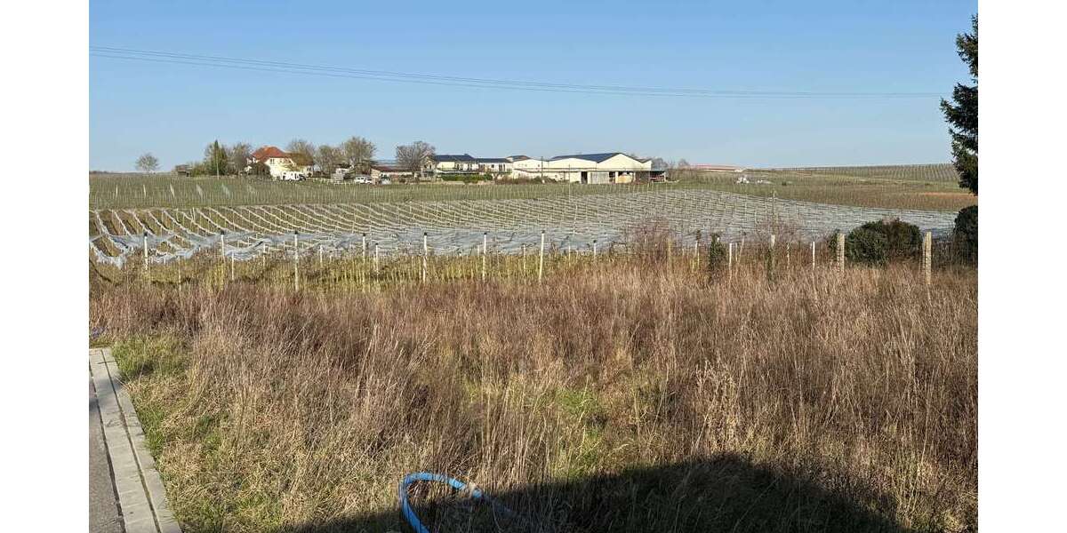 Grundstück Impflingen - 210.000&euro; | Angebot:25348840