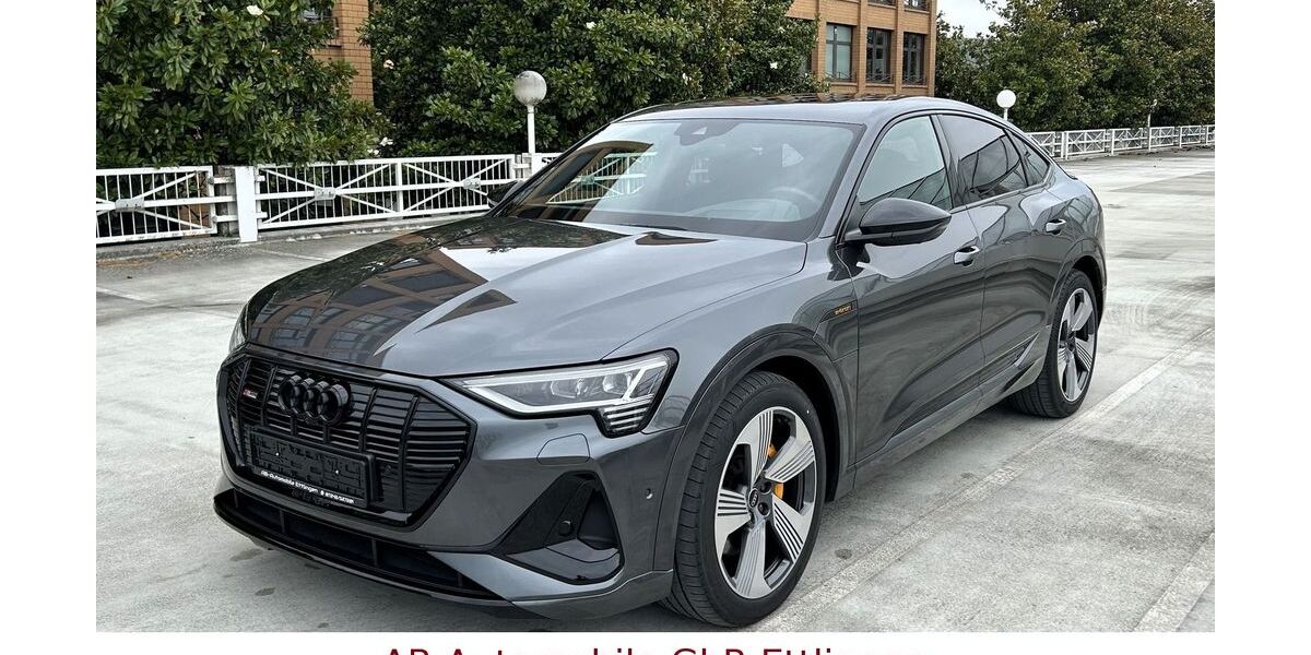Audi e-tron 47.099 km 40.900 &euro; Ettlingen 76275