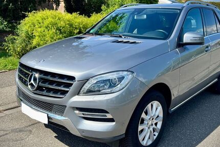 Mercedes-Benz ML 250 122.775 km 21.800 &euro; Kronau 76709