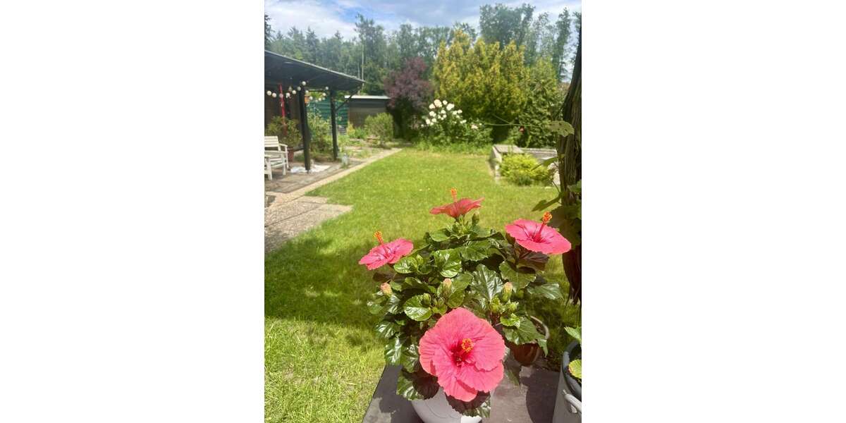 Einfamilienhaus Wörth am Rhein - 6 Zimmer, 200 m&sup2;, 1.050.000&euro; | Angebot:26871896