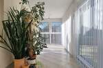 Mehrfamilienhaus, Wohnhaus Pforzheim Sonnenberg - 9 Zimmer, 236 m&sup2;, 798.000&euro; | Angebot:25800307