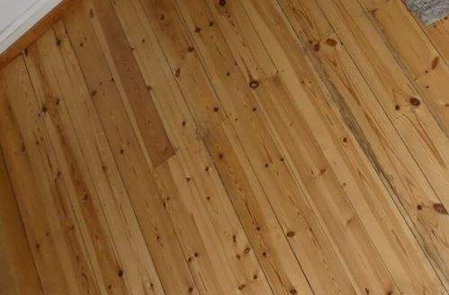 Mehrfamilienhaus, Wohnhaus Landau in der Pfalz Landau - 1 Zimmer, 443 m&sup2;, 895.000&euro; | Angebot:25689448