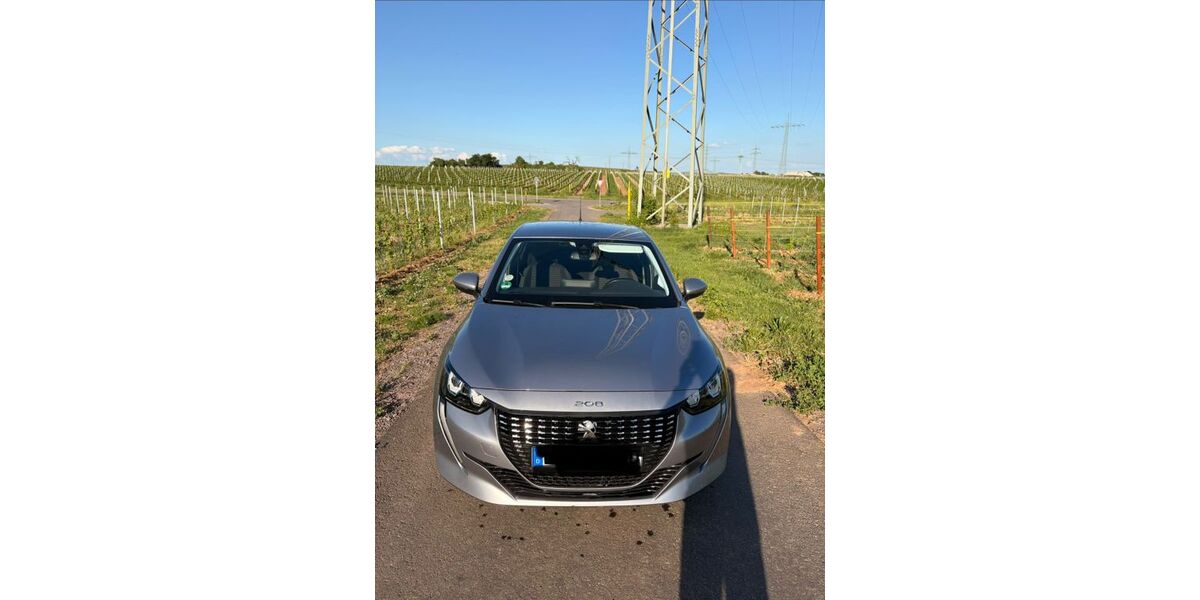 Peugeot 208 59.600 km 10.200 &euro; Landau 76829