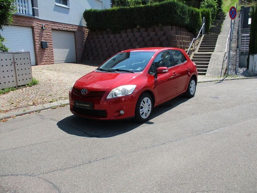 Auris