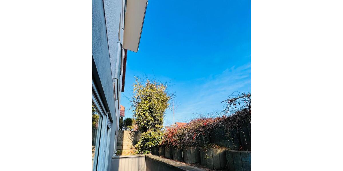 Wohnung zu vermieten in Dudenhofen 2 zimmer