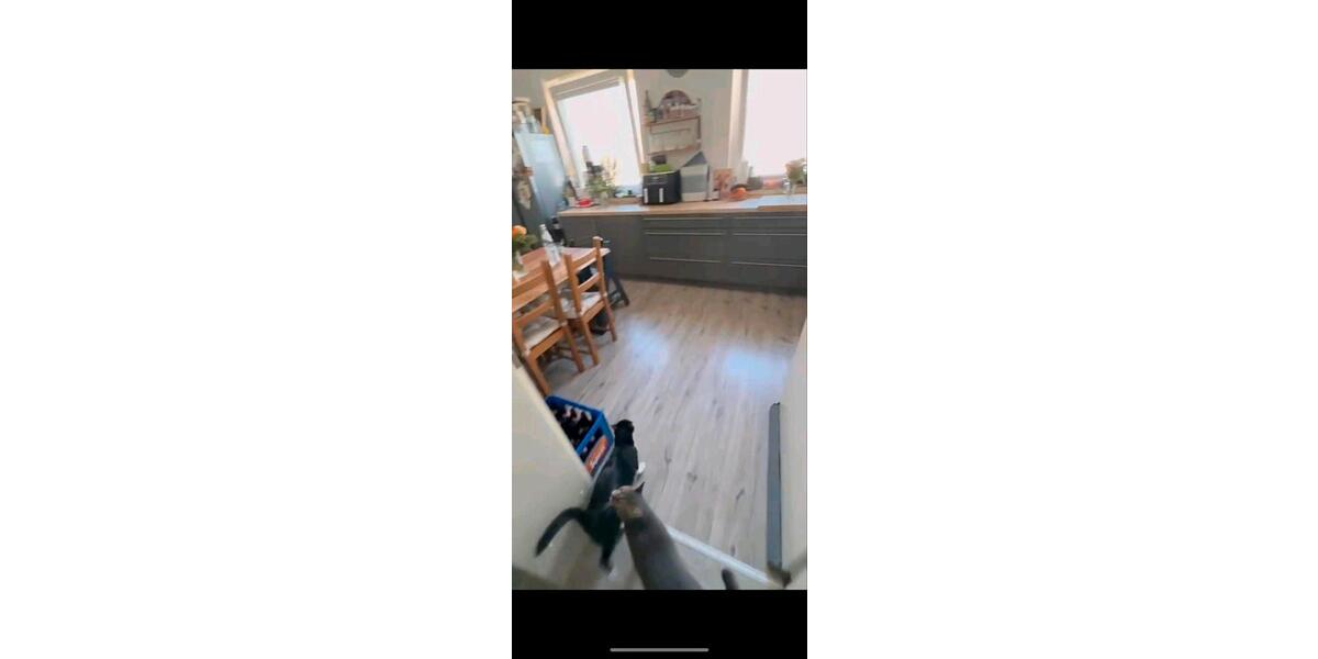Etagenwohnung Stutensee - 3 Zimmer, 77 m&sup2;, 260.000&euro; | Angebot:26577474