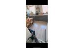 Etagenwohnung Stutensee - 3 Zimmer, 77 m&sup2;, 260.000&euro; | Angebot:26577474
