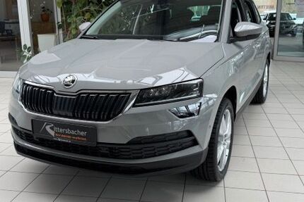 Skoda Karoq 116.766 km 21.790 &euro; Germersheim 76726