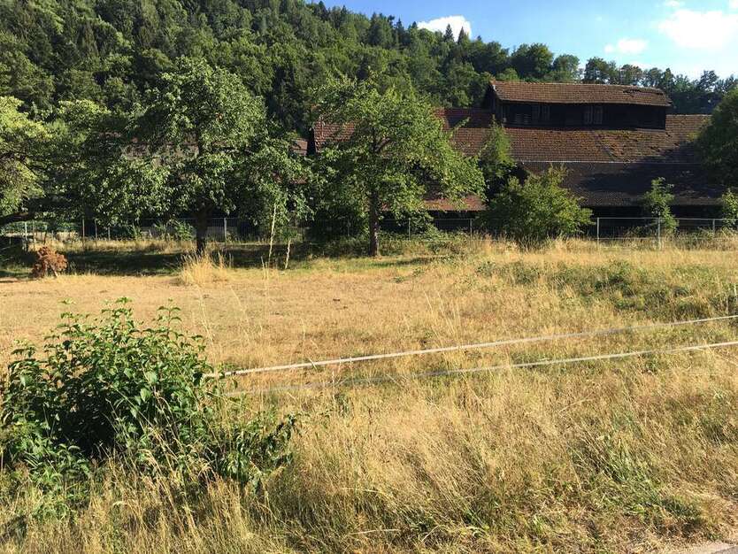 Grundstück zu verkaufen in Neuenbürg 127.000 € 210 m²