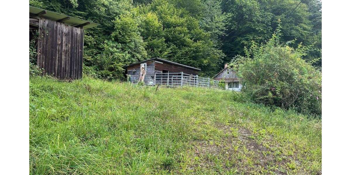 Traumgrundstück mit kleinem Wohn- und Wochenendhaus zimmer