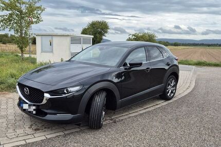 Mazda CX-30 71.500 km 21.480 € Rheinstetten 76287