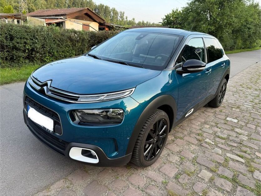 C4 Cactus