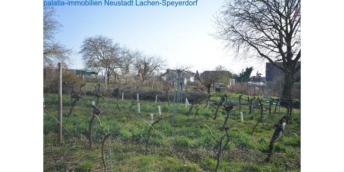 Haus mit zwei Wohneinheiten und 7000m² Grundstück Bornheim - 5.5 oder mehr Bornheim | Angebot:27196114