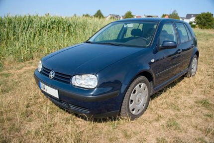VW Golf 129.000 km 2.995 &euro; Offenbach an der Queich 76877