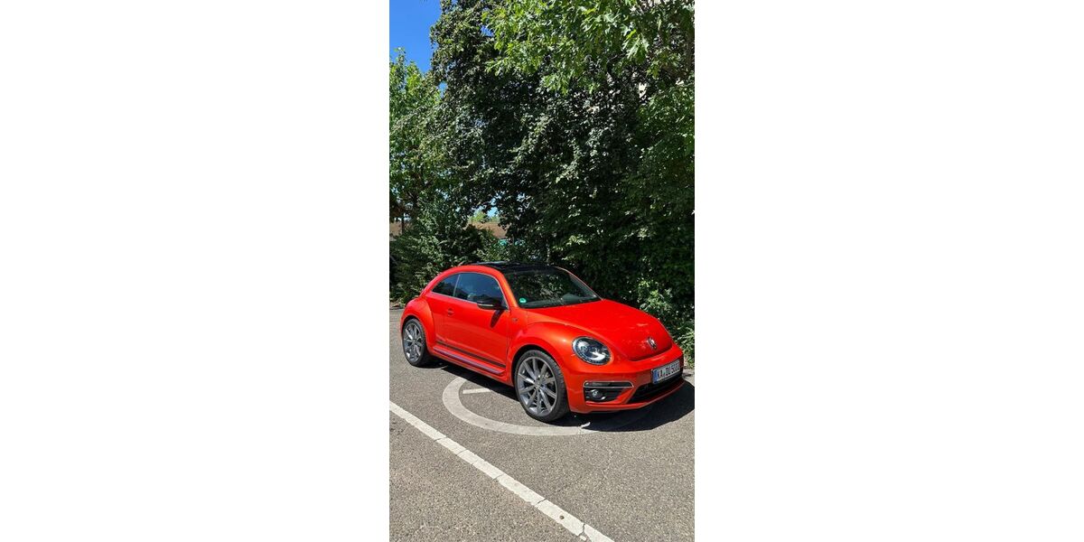 VW Beetle 99.000 km 13.999 &euro; Stutensee 76297