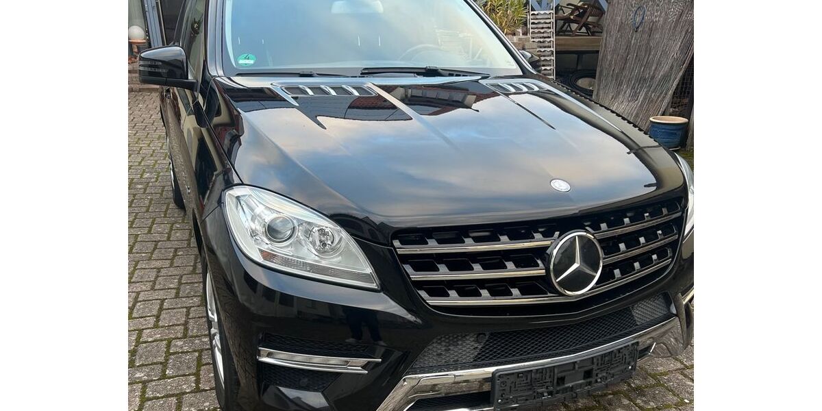 Mercedes-Benz ML 350 228.500 km 16.950 &euro; Römerberg 67354