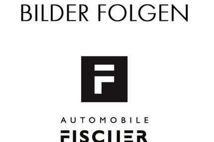 Citroen ë-Berlingo 38.609 km 19.990 &euro; Landau 76829