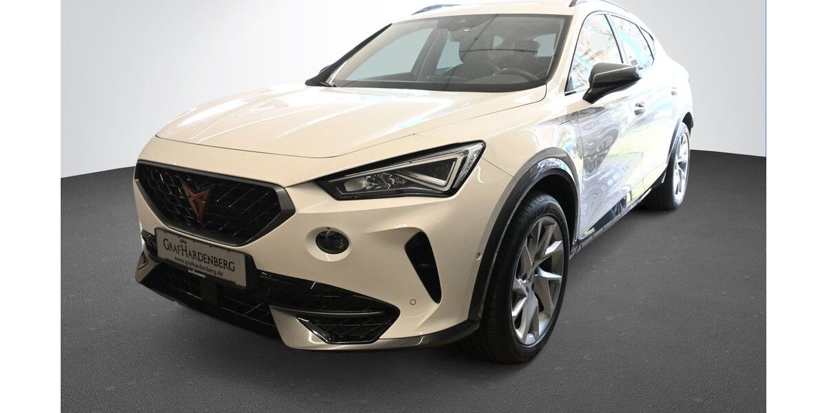 Cupra Formentor 38.000 km 24.980 &euro; Karlsruhe 76131