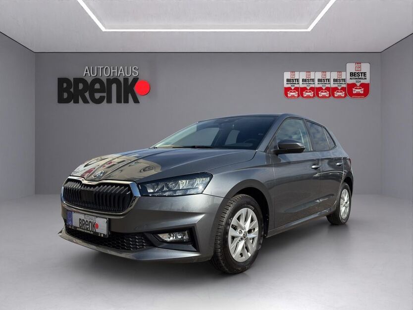 Skoda Fabia 71.350 km 14.290 € Karlsruhe-Durlach 76227