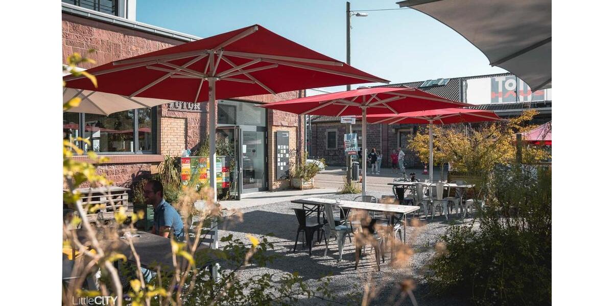 Schönes Büro (24 qm) in netter Bürogemeinschaft Alter Schlachthof zimmer