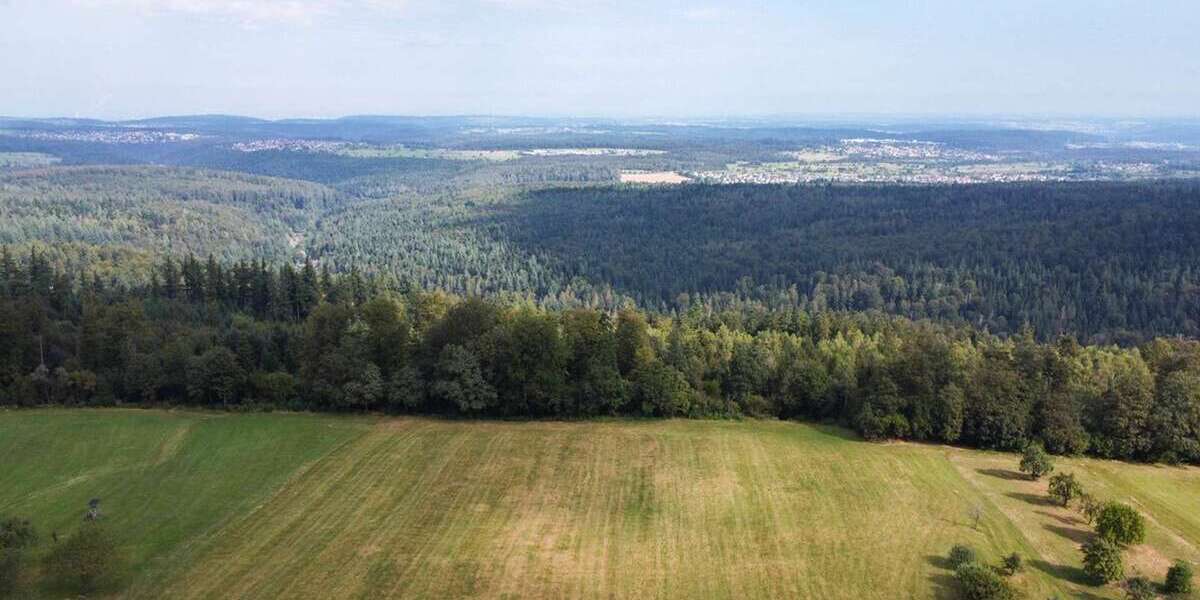 Grundstück zu verkaufen in Bad Herrenalb 120.000 € 505 m² zimmer