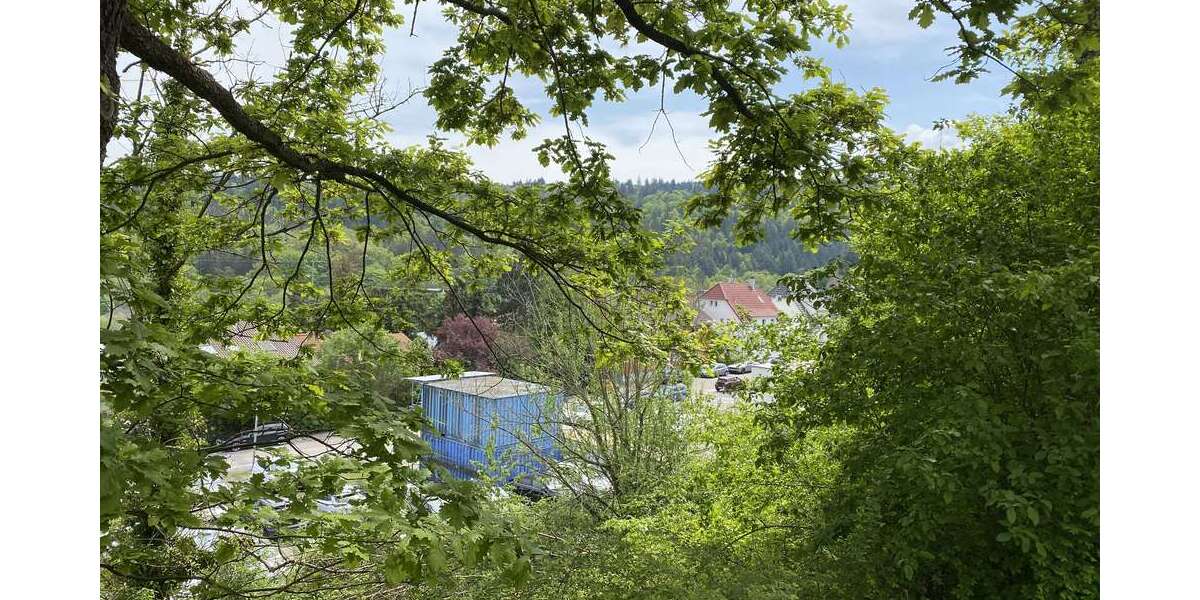 Grundstück zu verkaufen in Birkenfeld 2.000.000 € 4041 m² zimmer