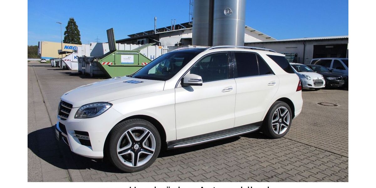 Mercedes-Benz ML 350 217.050 km 16.990 &euro; Hambrücken 76707