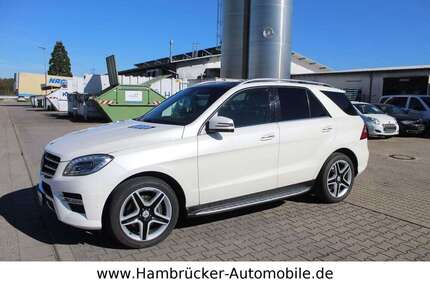 Mercedes-Benz ML 350 217.050 km 16.990 &euro; Hambrücken 76707