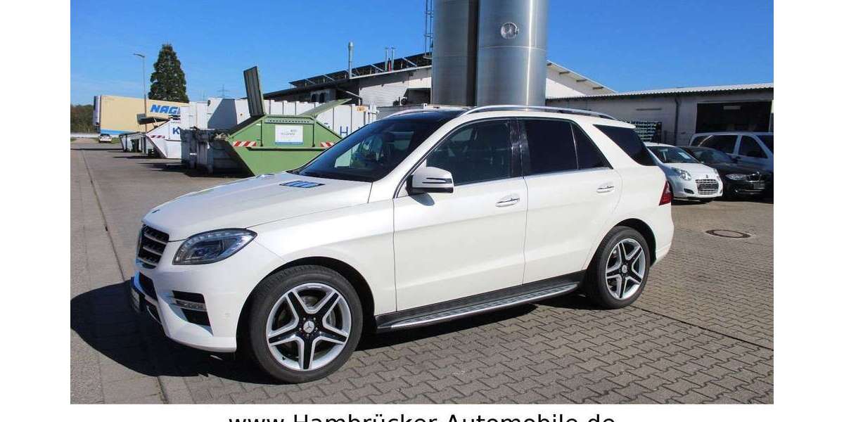 Mercedes-Benz ML 350 217.050 km 16.990 &euro; Hambrücken 76707