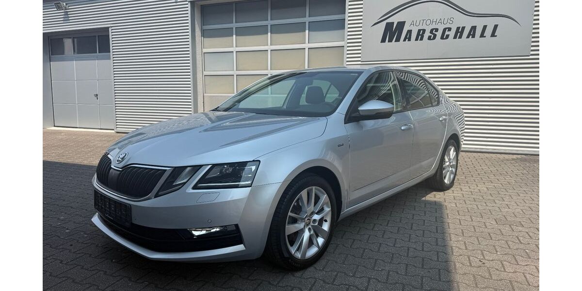 Skoda Octavia 137.781 km 13.850 &euro; Eggenstein-Leopoldshafen 76344