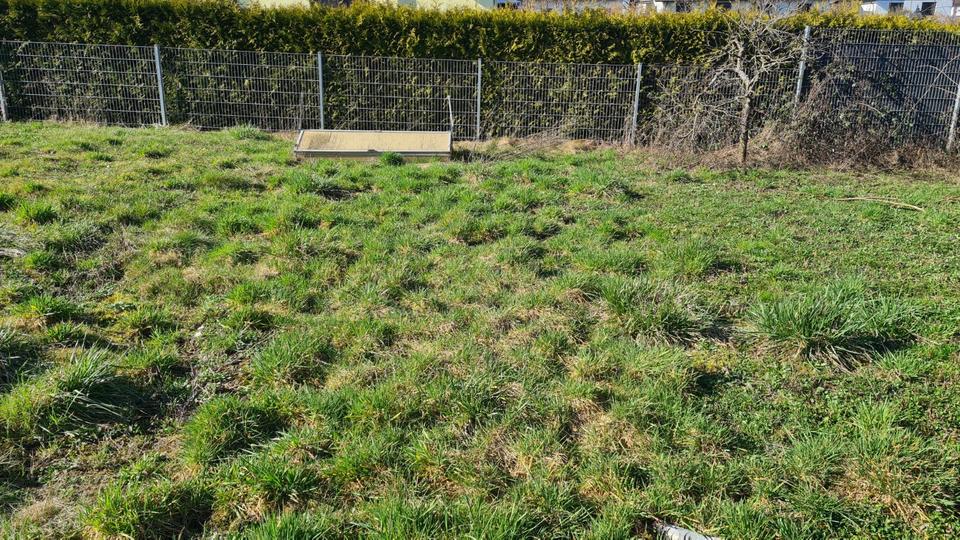 Doppelhaushälfte Ettlingen - 690.000&euro; | Angebot:25474084