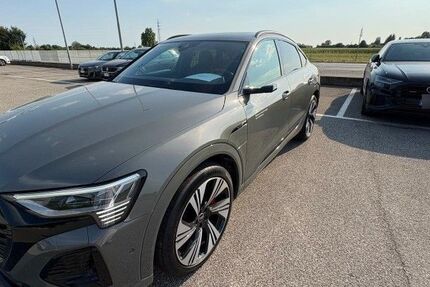 Audi Q8 3.290 km 69.900 € Ettlingen 76275