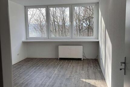 Frisch renovierte 3-Zimmer Wohnung mit Balkon [VAC-20215] 3 zimmer