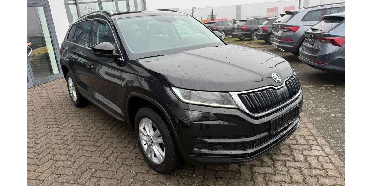 Skoda Kodiaq 120.000 km 24.990 &euro; Germersheim 76726