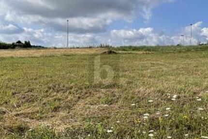 WO DIE TRÄUME WAHR WERDEN KÖNNEN zimmer