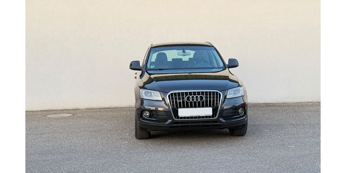 Audi Q5 250.000 km 9.999 &euro; Kandel 76870