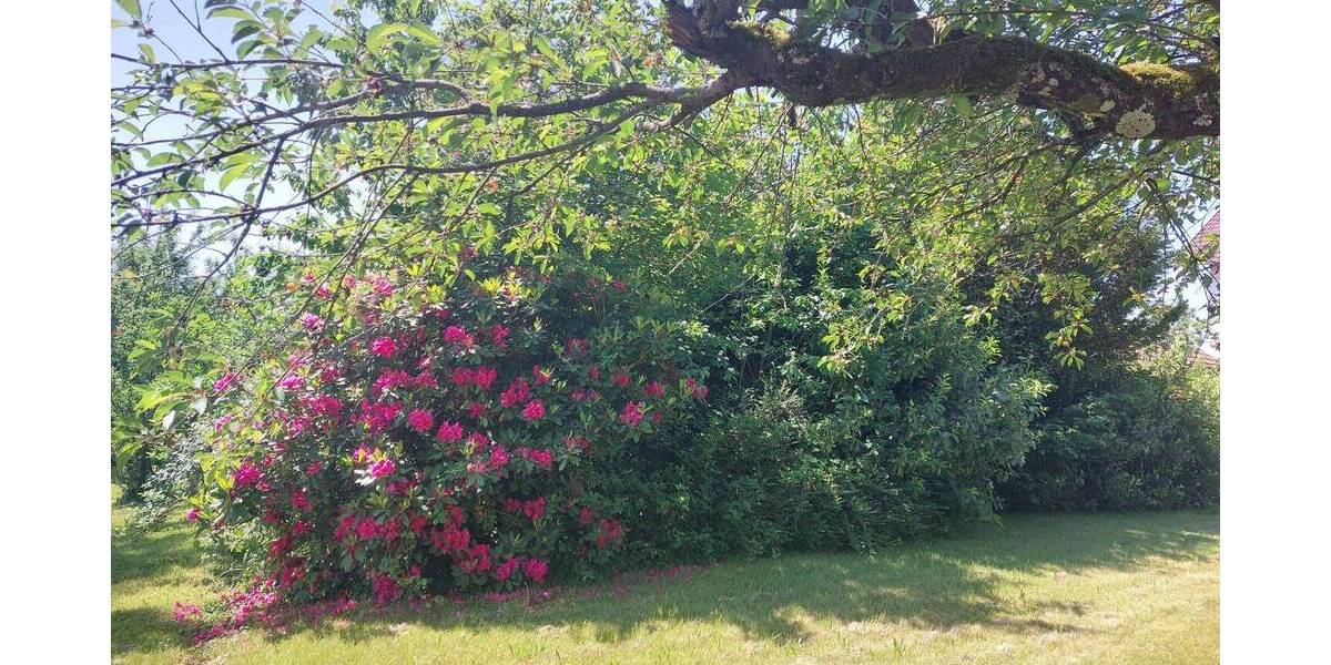Einfamilienhaus Waldbronn Busenbach - 6 Zimmer, 124 m&sup2;, 650.000&euro; | Angebot:26908606